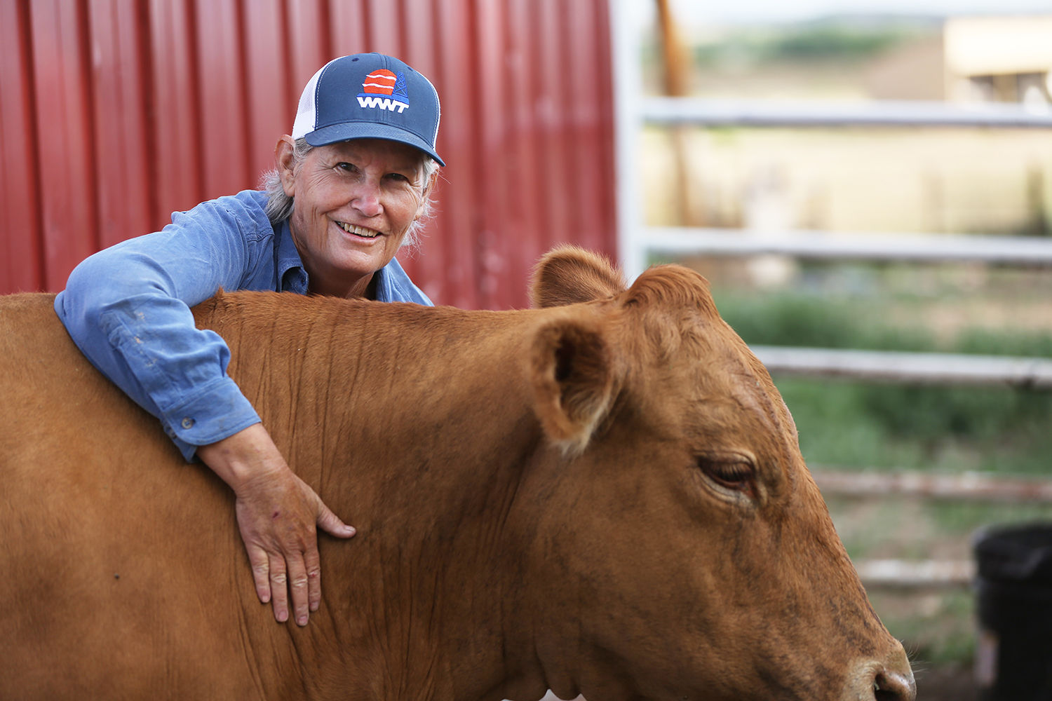 Sue Jarrard loves on her favorite old cow, Jewell